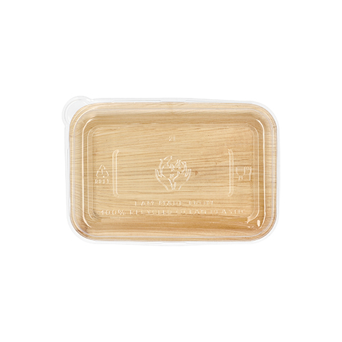 Schalen, Palmblatt eckig 200 ml 4,8 cm x 12 cm x 18 cm mit rPET Deckel "Kombipack"