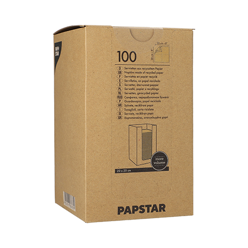 Servietten, 2-lagig "PUNTO" 1/4-Falz 20 cm x 20 cm natur aus recyceltem Papier, in Spenderbox