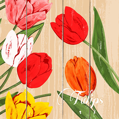 Servietten, 3-lagig 1/4-Falz 40 cm x 40 cm "Blooming Tulips" Servietten, 3-lagig 1/4-Falz 40 cm x 40 cm "Blooming Tulips"