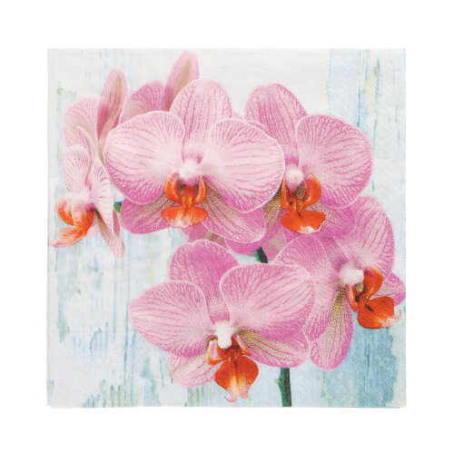 Servietten, 3-lagig 1/4-Falz 33 cm x 33 cm "Phalaenopsis"