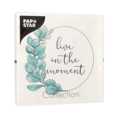 Servietten, 3-lagig 1/4-Falz 33 cm x 33 cm "Live in the Moment"