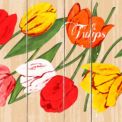 Servietten, 3-lagig 1/4-Falz 33 cm x 33 cm "Blooming Tulips" Servietten, 3-lagig 1/4-Falz 33 cm x 33 cm "Blooming Tulips"