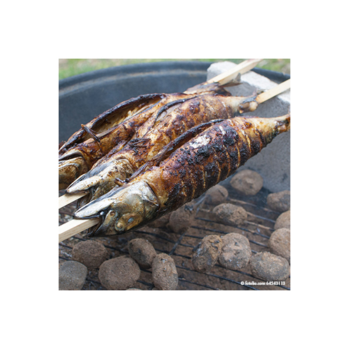 Grill-Spieße "pure" 80 cm x 8 mm x 8 mm "Steckerlfisch"