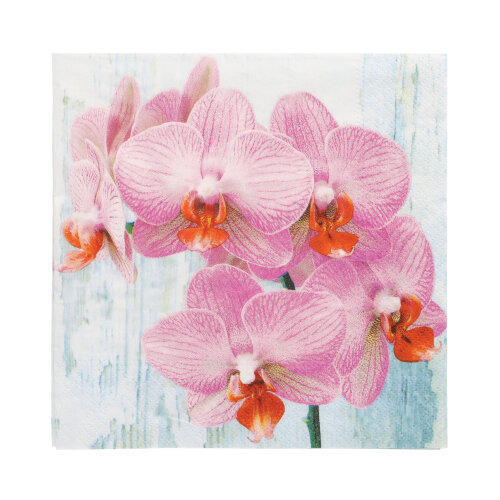 Servietten, 3-lagig 1/4-Falz 33 cm x 33 cm "Phalaenopsis"