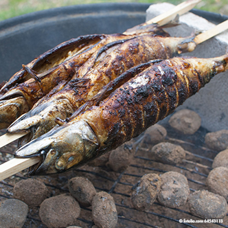 Grill-Spieße "pure" 80 cm x 8 mm x 8 mm "Steckerlfisch"
